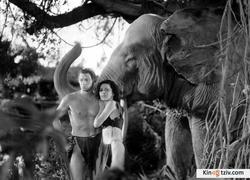 Tarzan and His Mate photo from the set.