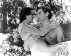 Tarzan and His Mate photo from the set.