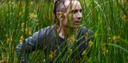 The Survivalist photo from the set.