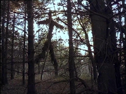 The Blair Witch Project photo from the set.
