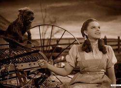 The Wizard of Oz photo from the set.