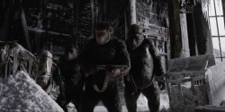 War for the Planet of the Apes photo from the set.