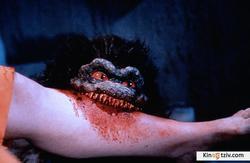 Critters 3 photo from the set.