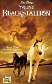 The Young Black Stallion is similar to Zdrada.