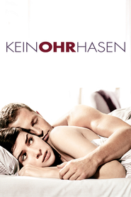 Keinohrhasen is similar to Flash Love.