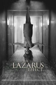The Lazarus Effect is similar to The Human Condition.