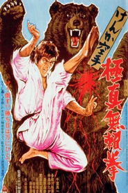 Kyokuskin kenka karate burai ken is similar to The Hatchet Man.
