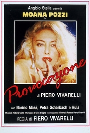 Provocazione is similar to Private Movies 26: Hard Time.