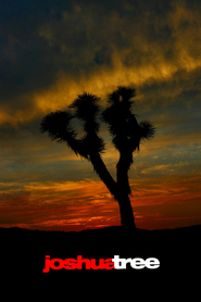 Joshua Tree is similar to Small Time.