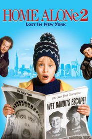 Home Alone 2: Lost in New York is similar to River of Gold.