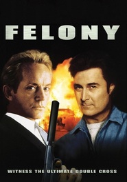 Felony is similar to Who Is Don Berdi?.