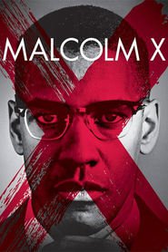 Malcolm X is similar to Greshnitsa v maske.