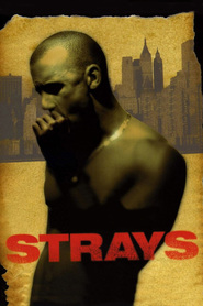 Strays is similar to Confessions.