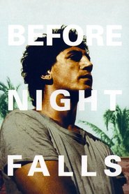 Before Night Falls is similar to Teen-Aged.