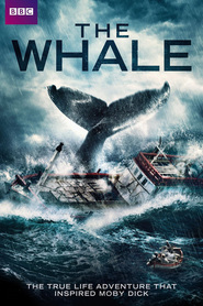 The Whale is similar to Ghost House.