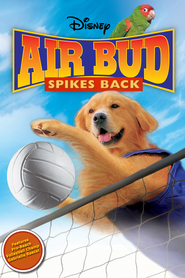 Air Bud: Spikes Back is similar to Old Shoes.