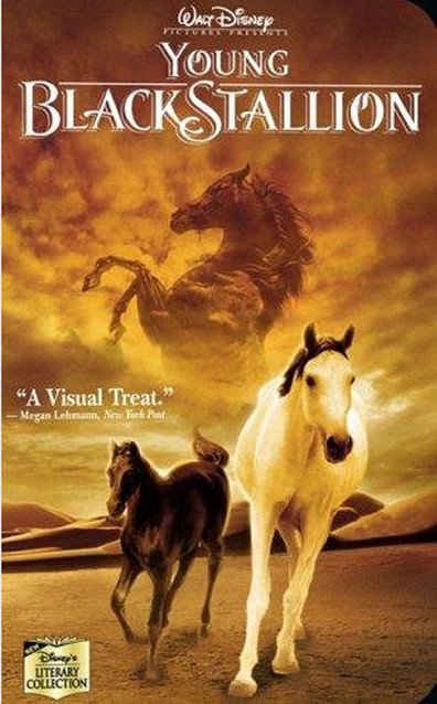Movies The Young Black Stallion poster