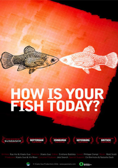 Movies How is Your Fish Today? poster