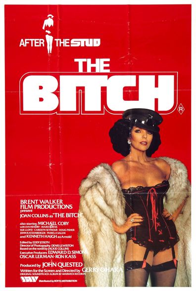 Movies The Bitch poster