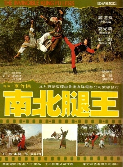 Movies Nan bei tui wang poster