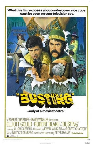 Movies Busting poster