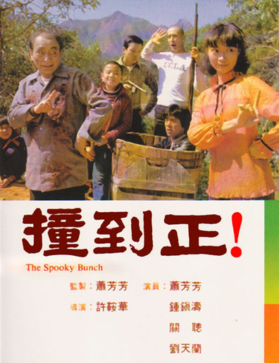 Movies Zhuang dao zheng poster
