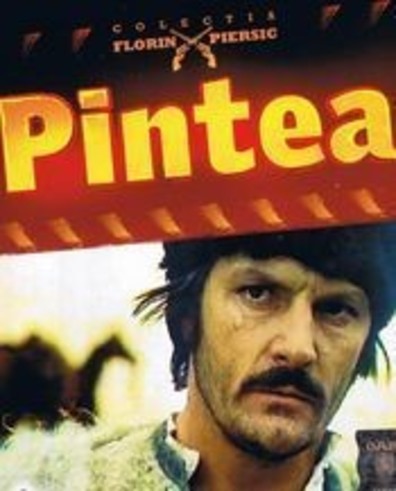 Movies Pintea poster