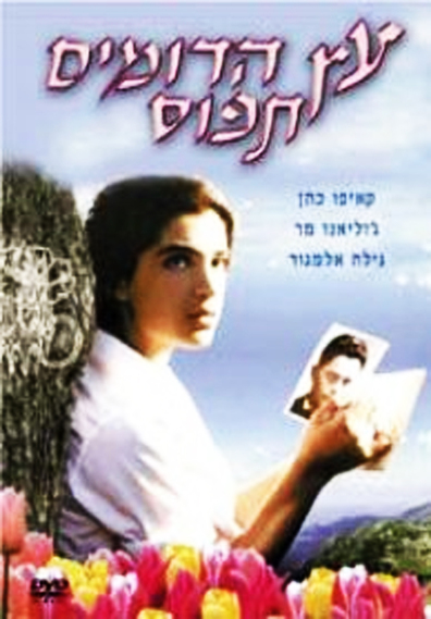 Movies Etz Hadomim Tafus poster