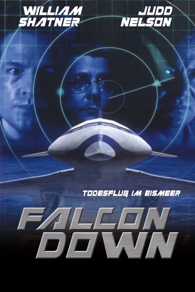 Movies Falcon Down poster