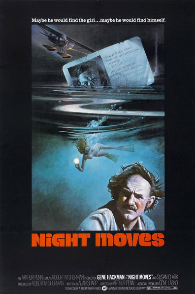 Movies Night Moves poster