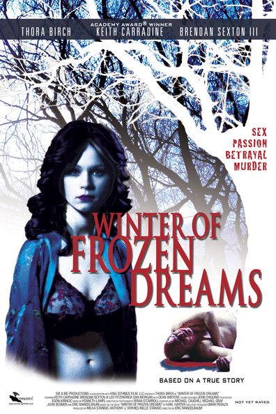 Movies Winter of Frozen Dreams poster