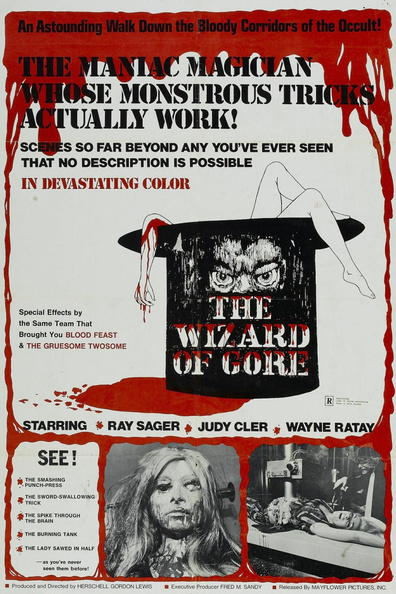 Movies The Wizard of Gore poster