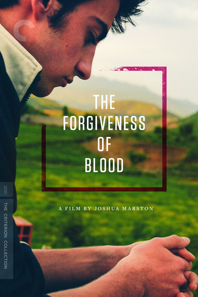 Movies The Forgiveness of Blood poster