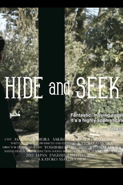 Movies Hide and Seek poster