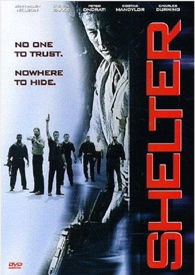 Movies Shelter poster