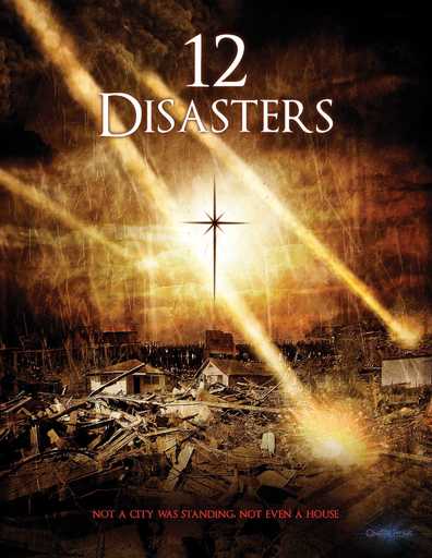 Movies The 12 Disasters of Christmas poster