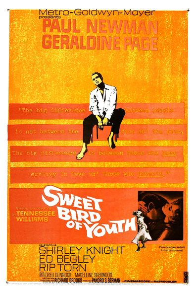 Movies Sweet Bird of Youth poster