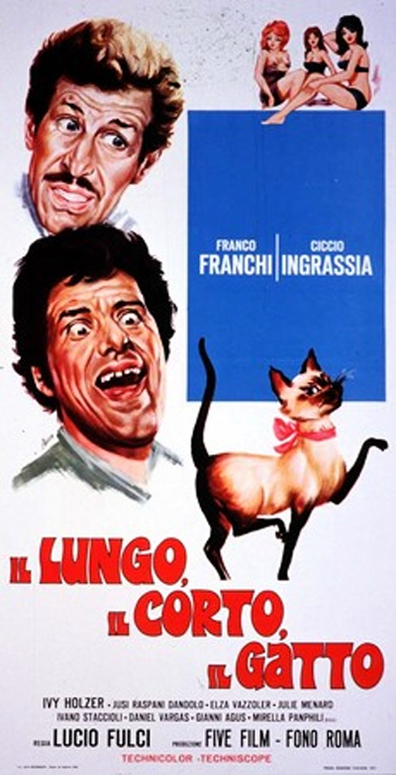 Movies Il lungo, il corto, il gatto poster
