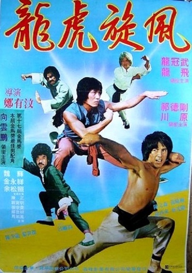 Movies Long hu xuan feng poster