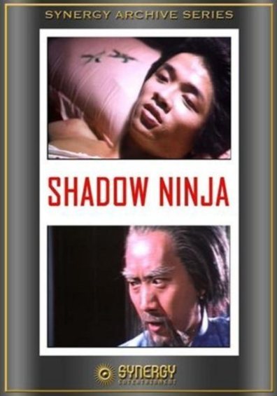 Movies Shadow Ninja poster