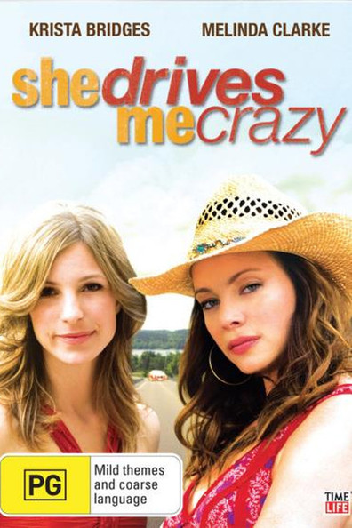 Movies She Drives Me Crazy poster