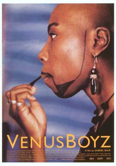 Movies Venus Boyz poster