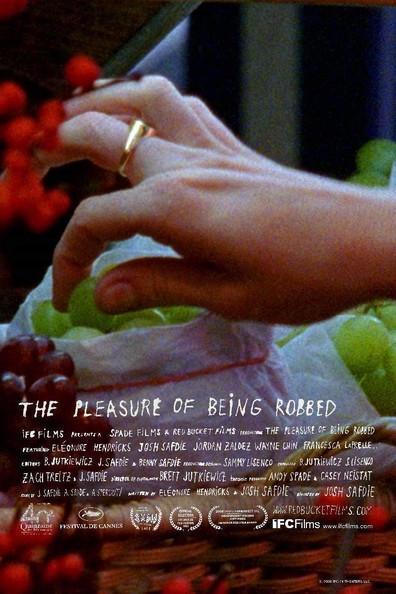 Movies The Pleasure of Being Robbed poster
