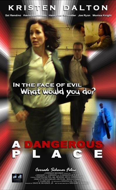 Movies A Dangerous Place poster