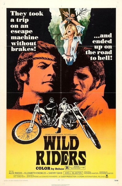 Movies Wild Riders poster