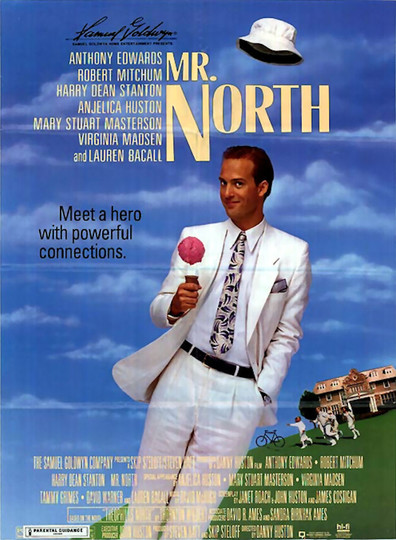 Movies Mr. North poster