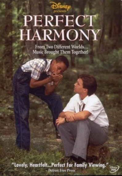 Movies Perfect Harmony poster