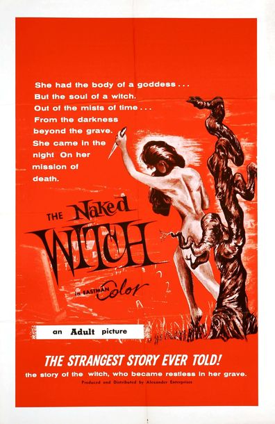 Movies The Naked Witch poster