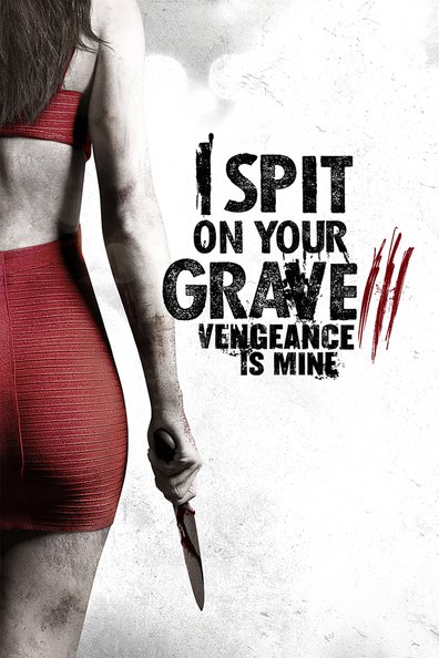 Movies I Spit on Your Grave 3 poster