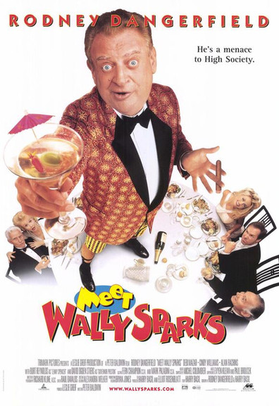 Movies Meet Wally Sparks poster